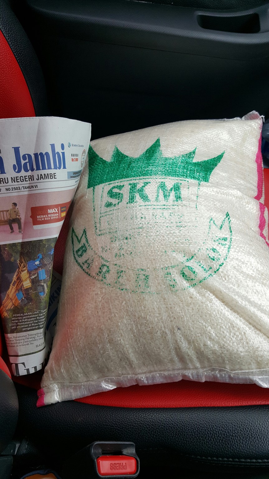 wp-1488012881957 image